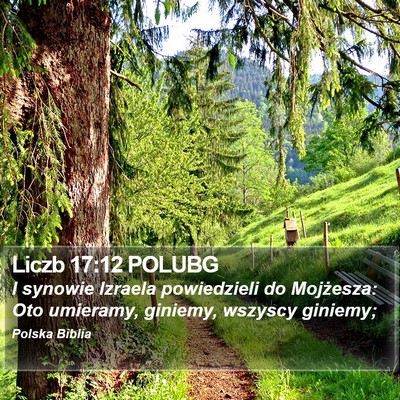 Liczb 17:12 POLUBG Bible Verse Image