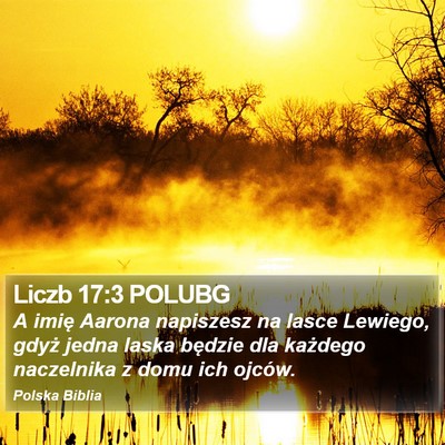 Liczb 17:3 POLUBG Bible Verse Image
