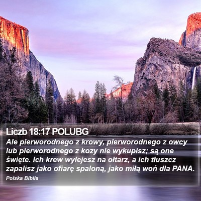 Liczb 18:17 POLUBG Bible Verse Image