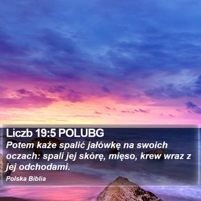 Liczb 19:5 POLUBG Bible Verse Image