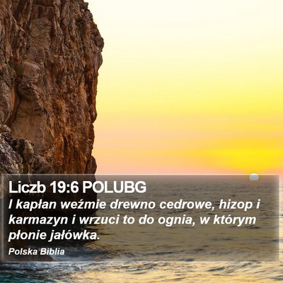Liczb 19:6 POLUBG Bible Verse Image