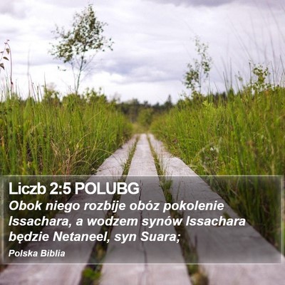 Liczb 2:5 POLUBG Bible Verse Image