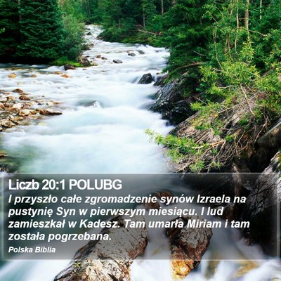 Liczb 20:1 POLUBG Bible Verse Image