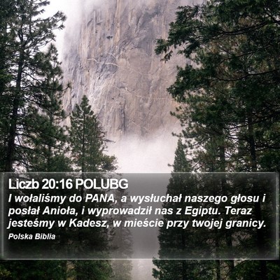 Liczb 20:16 POLUBG Bible Verse Image