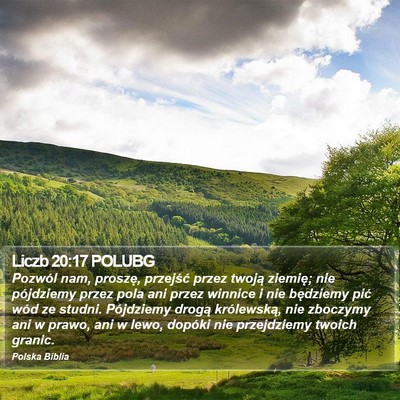 Liczb 20:17 POLUBG Bible Verse Image