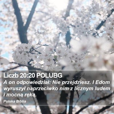 Liczb 20:20 POLUBG Bible Verse Image