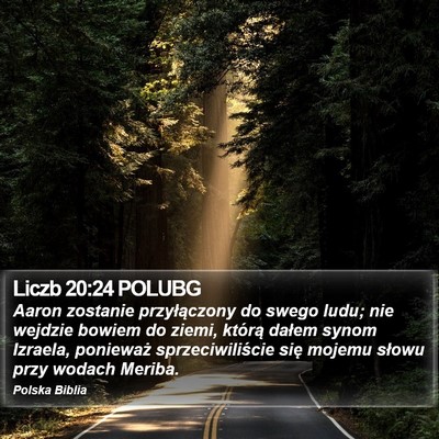 Liczb 20:24 POLUBG Bible Verse Image