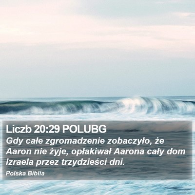 Liczb 20:29 POLUBG Bible Verse Image