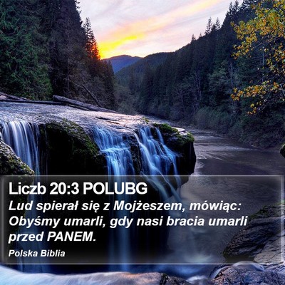 Liczb 20:3 POLUBG Bible Verse Image