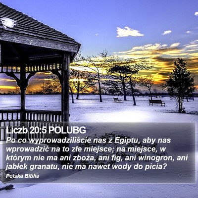Liczb 20:5 POLUBG Bible Verse Image