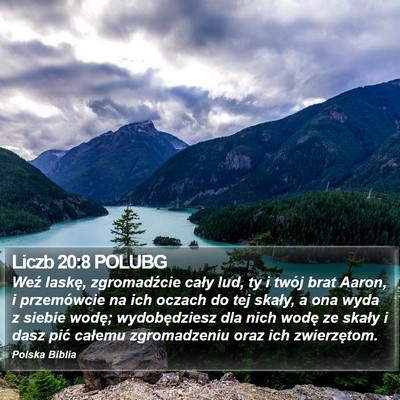 Liczb 20:8 POLUBG Bible Verse Image