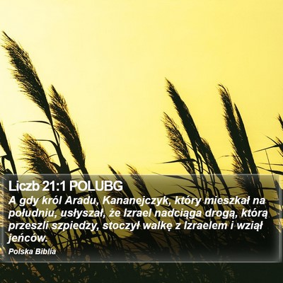 Liczb 21:1 POLUBG Bible Verse Image