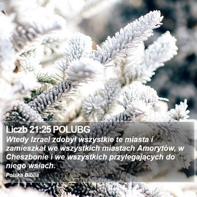 Liczb 21:25 POLUBG Bible Verse Image
