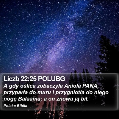 Liczb 22:25 POLUBG Bible Verse Image