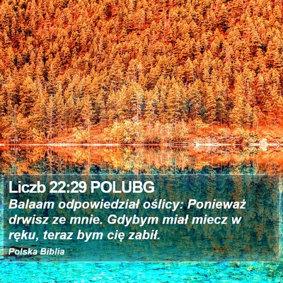Liczb 22:29 POLUBG Bible Verse Image