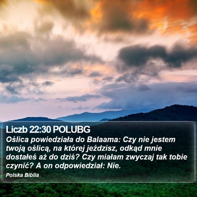 Liczb 22:30 POLUBG Bible Verse Image