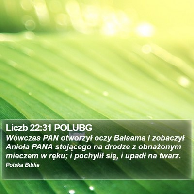 Liczb 22:31 POLUBG Bible Verse Image
