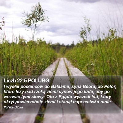 Liczb 22:5 POLUBG Bible Verse Image