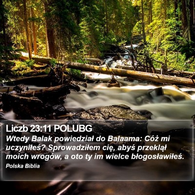 Liczb 23:11 POLUBG Bible Verse Image