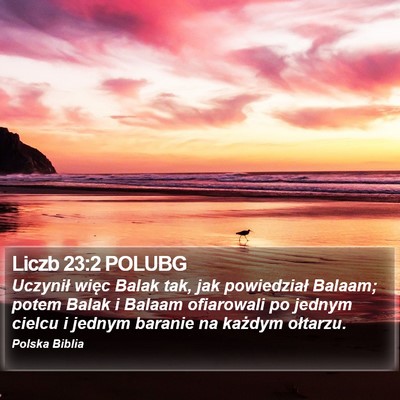 Liczb 23:2 POLUBG Bible Verse Image