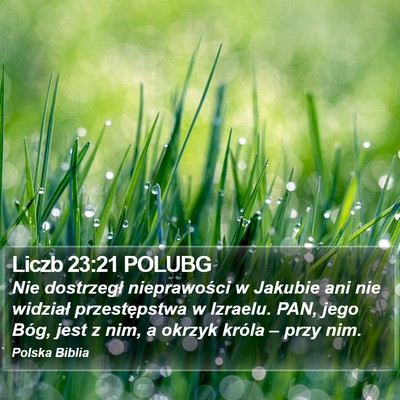 Liczb 23:21 POLUBG Bible Verse Image