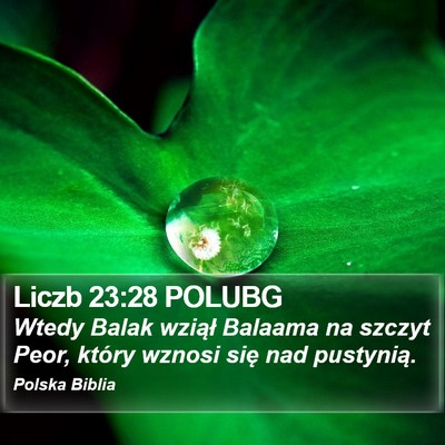Liczb 23:28 POLUBG Bible Verse Image