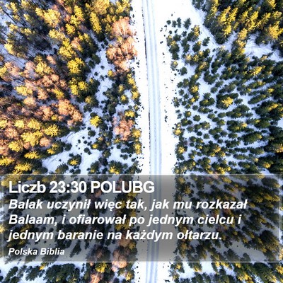 Liczb 23:30 POLUBG Bible Verse Image