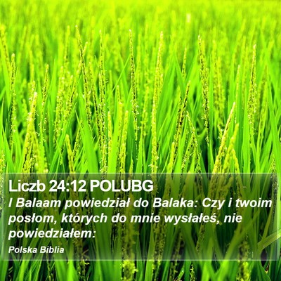 Liczb 24:12 POLUBG Bible Verse Image
