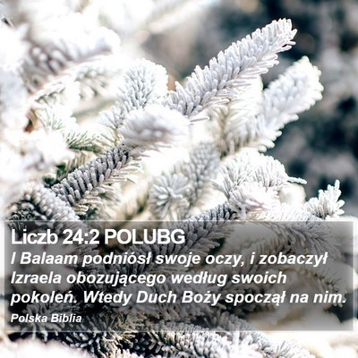Liczb 24:2 POLUBG Bible Verse Image