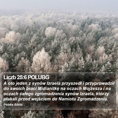 Liczb 25:6 POLUBG Bible Verse Image