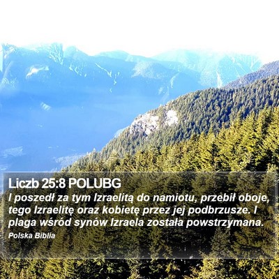 Liczb 25:8 POLUBG Bible Verse Image
