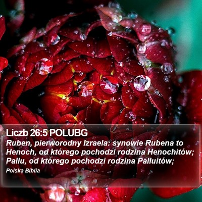 Liczb 26:5 POLUBG Bible Verse Image