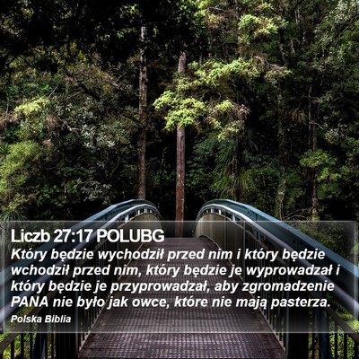 Liczb 27:17 POLUBG Bible Verse Image