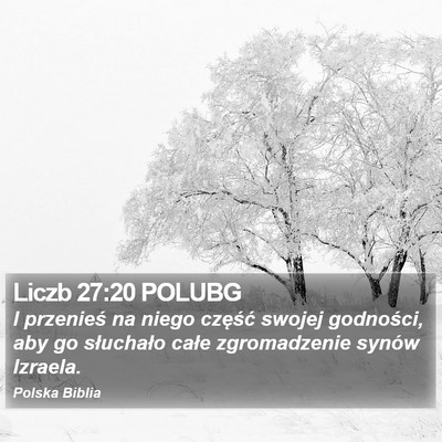 Liczb 27:20 POLUBG Bible Verse Image