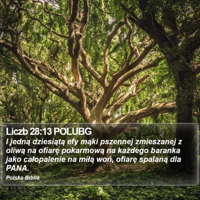 Liczb 28:13 POLUBG Bible Verse Image