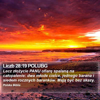 Liczb 28:19 POLUBG Bible Verse Image
