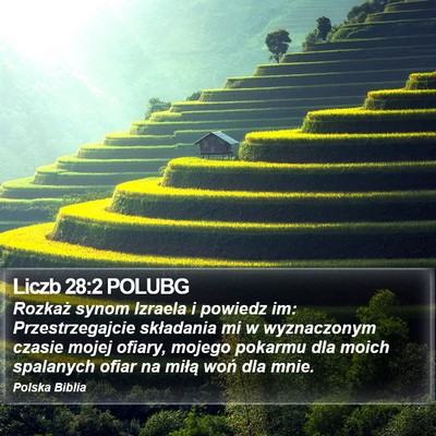 Liczb 28:2 POLUBG Bible Verse Image