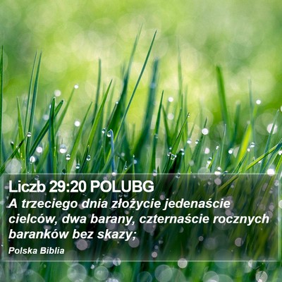 Liczb 29:20 POLUBG Bible Verse Image