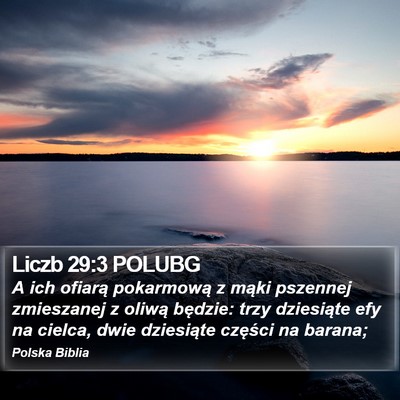 Liczb 29:3 POLUBG Bible Verse Image