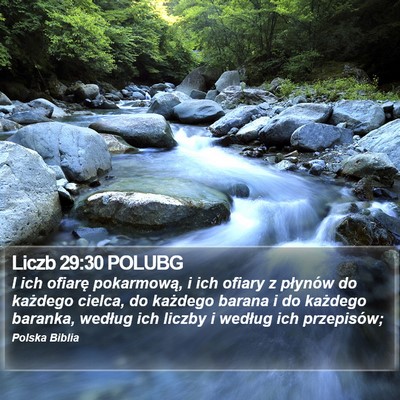 Liczb 29:30 POLUBG Bible Verse Image