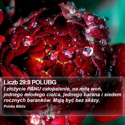 Liczb 29:8 POLUBG Bible Verse Image