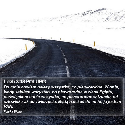 Liczb 3:13 POLUBG Bible Verse Image