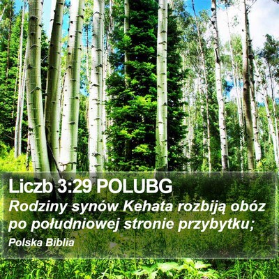 Liczb 3:29 POLUBG Bible Verse Image