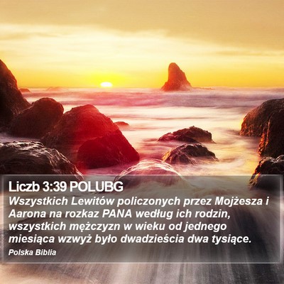 Liczb 3:39 POLUBG Bible Verse Image