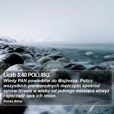 Liczb 3:40 POLUBG Bible Verse Image