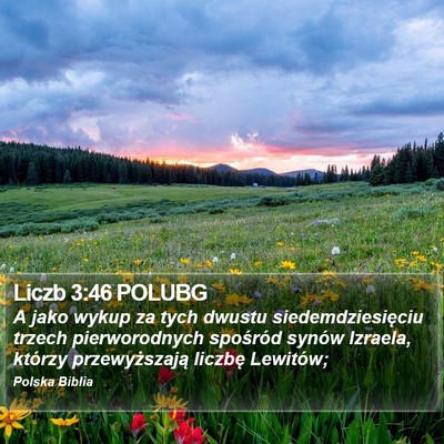Liczb 3:46 POLUBG Bible Verse Image