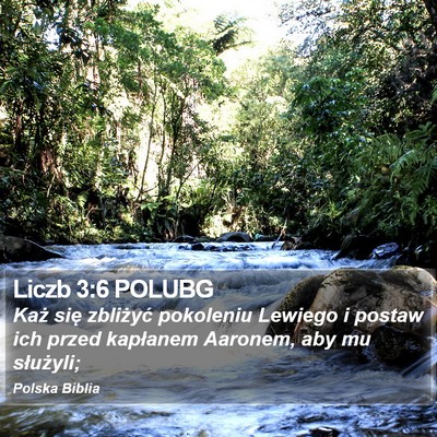 Liczb 3:6 POLUBG Bible Verse Image