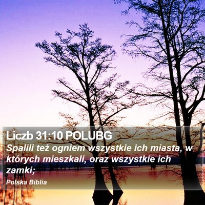 Liczb 31:10 POLUBG Bible Verse Image