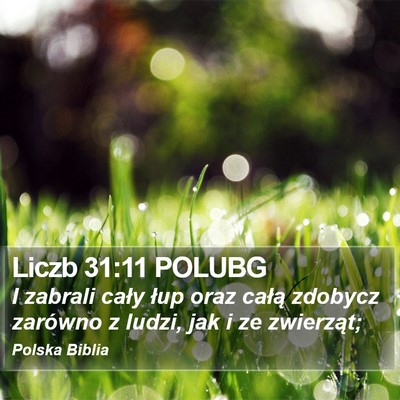 Liczb 31:11 POLUBG Bible Verse Image