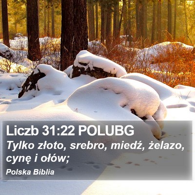 Liczb 31:22 POLUBG Bible Verse Image